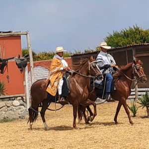 Trujillo: Tour Chan Chan con caballos de Paso y Marinera