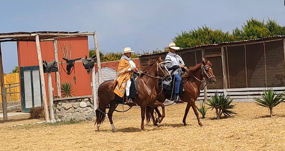 Tour Chan Chan con Caballos de Paso y Marinera Los mejores tours en Trujillo