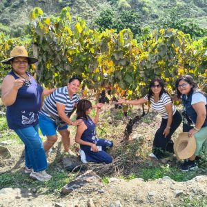 Tour a Cascas desde Trujillo — viñedos y valle del vino norte del Perú