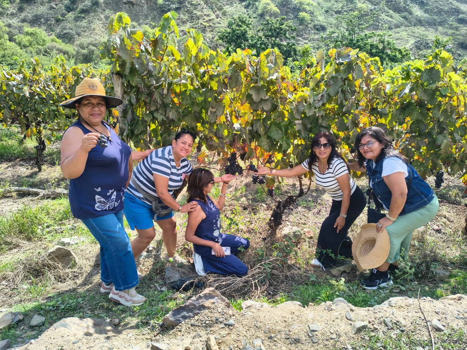 Tour a Cascas desde Trujillo — viñedos y valle del vino norte del Perú