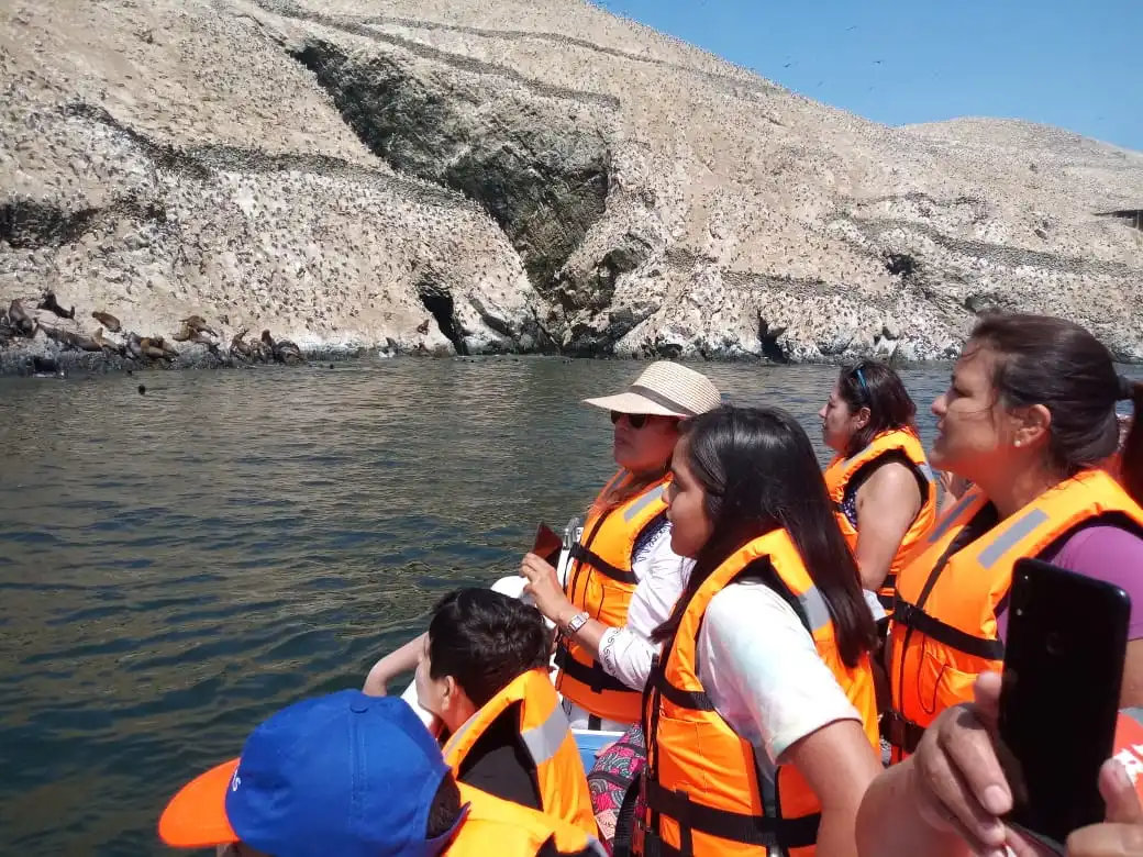 Pasajeros admirando los lobos marinos en Islas Guañape