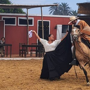 Pareja bailando marinera durante show de caballos de paso en Trujillo con jinete a caballo y bailarina tradicional